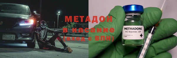 индика Аркадак