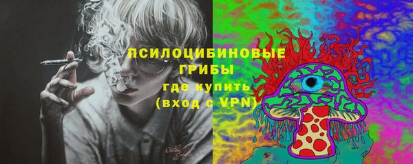 индика Аркадак