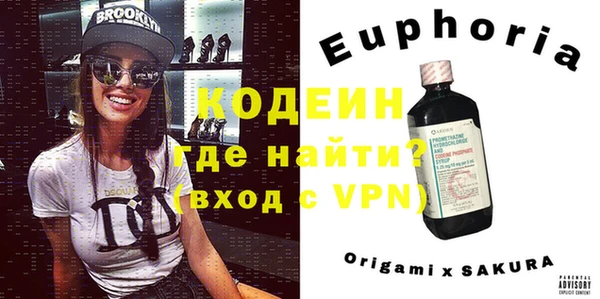 индика Аркадак