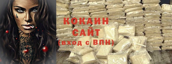 индика Аркадак