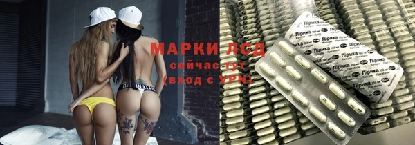 индика Аркадак
